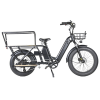 Cargo 48V 750W Fat Tire Electric Bike