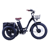 Трехколесный велосипед FAT Tire Step Through E-Cargo Bike