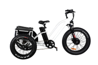 FAT Tire Tricycle E-Cargo Bike